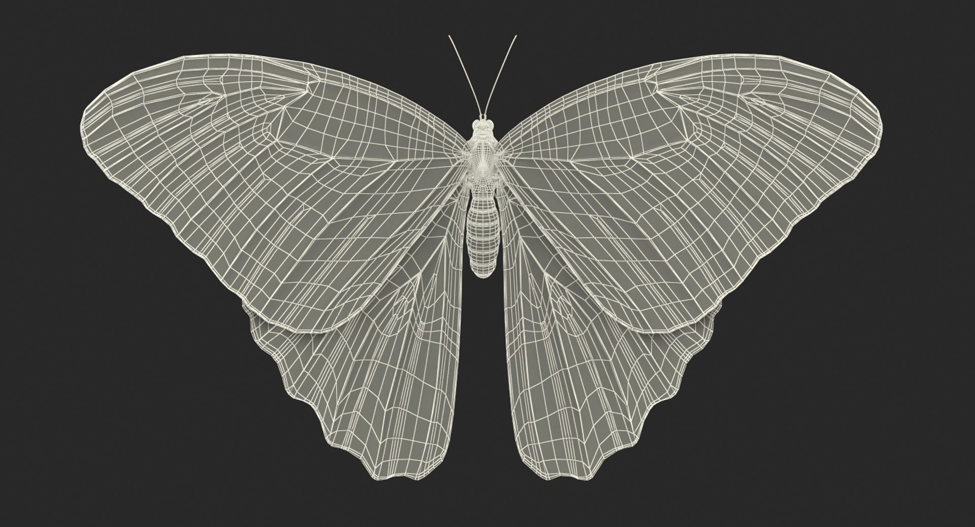 insects big 5 collections 3D model https://p.turbosquid.com/ts-thumb/a8/NZDPHi/92jNfwbq/insectsbigcollection5vray3dmodel192/jpg/1595402566/1920x1080/fit_q87/8367ae23bcfa94c614c06649195473f28dccfeb5/insectsbigcollection5vray3dmodel192.jpg