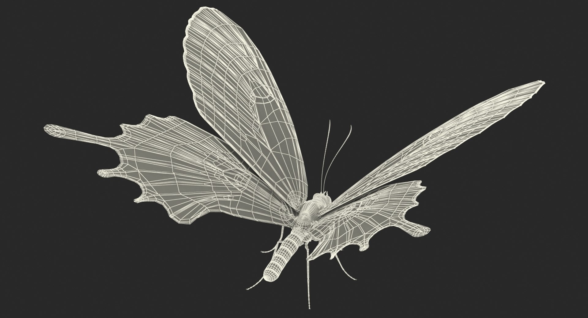 insects big 5 collections 3D model https://p.turbosquid.com/ts-thumb/a8/NZDPHi/CuJWjo7J/insectsbigcollection5vray3dmodel187/jpg/1595402555/1920x1080/fit_q87/62eb0ecc04ed53198d828fe135e11c09ca8d88e1/insectsbigcollection5vray3dmodel187.jpg