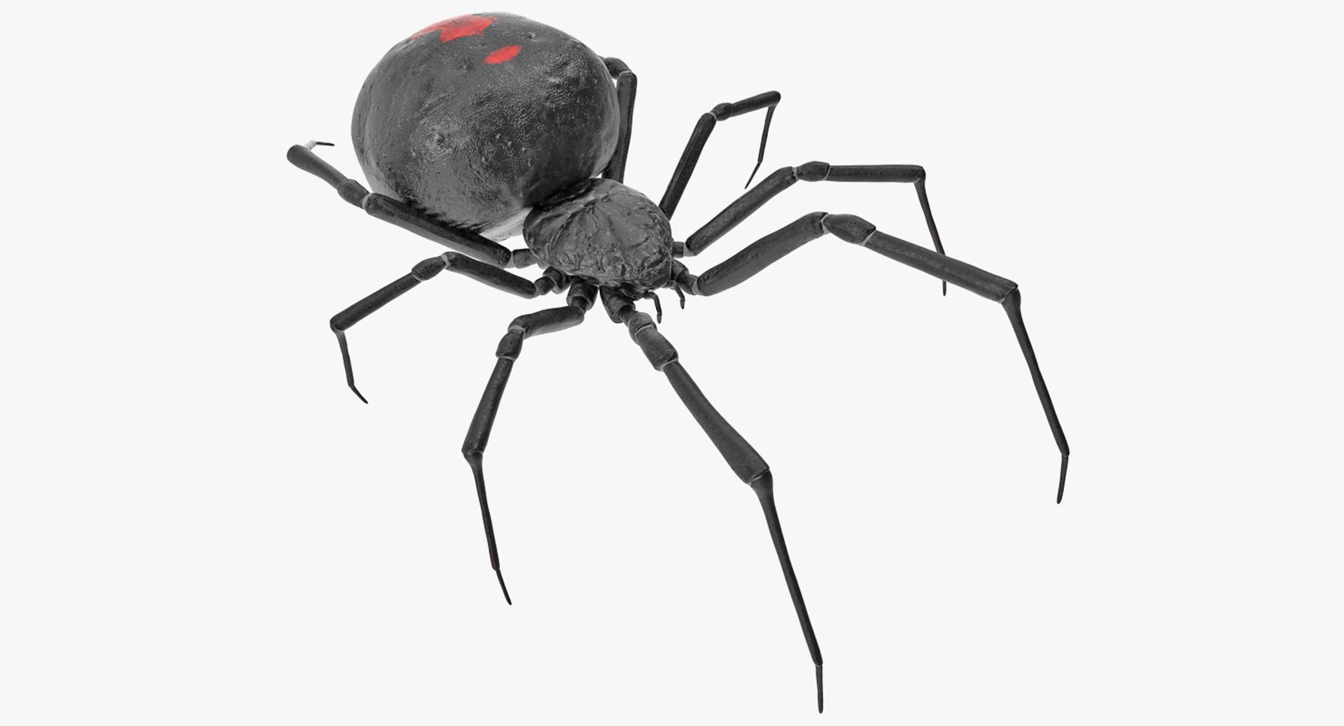 insects big 5 collections 3D model https://p.turbosquid.com/ts-thumb/a8/NZDPHi/ETWxCIcu/insectsbigcollection5vray3dmodel114/jpg/1595402384/1920x1080/fit_q87/d0b4552ae150a52b992a45643443cf809952a7cc/insectsbigcollection5vray3dmodel114.jpg