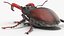 insects big 5 collections 3D model