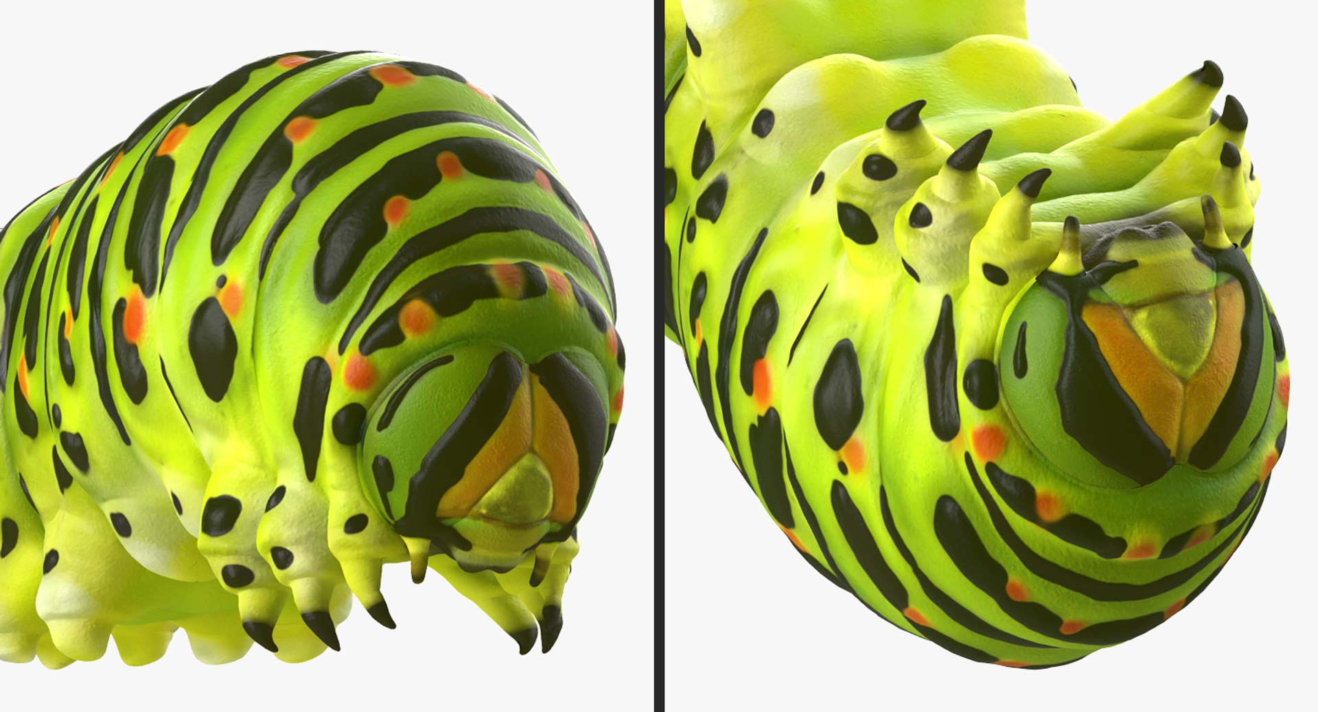 insects big 5 collections 3D model https://p.turbosquid.com/ts-thumb/a8/NZDPHi/LZfPSGQM/insectsbigcollection5vray3dmodel149/jpg/1595402467/1920x1080/fit_q87/1f20fcae1ec7dc6ee9f1fdcba4df027f04f35558/insectsbigcollection5vray3dmodel149.jpg