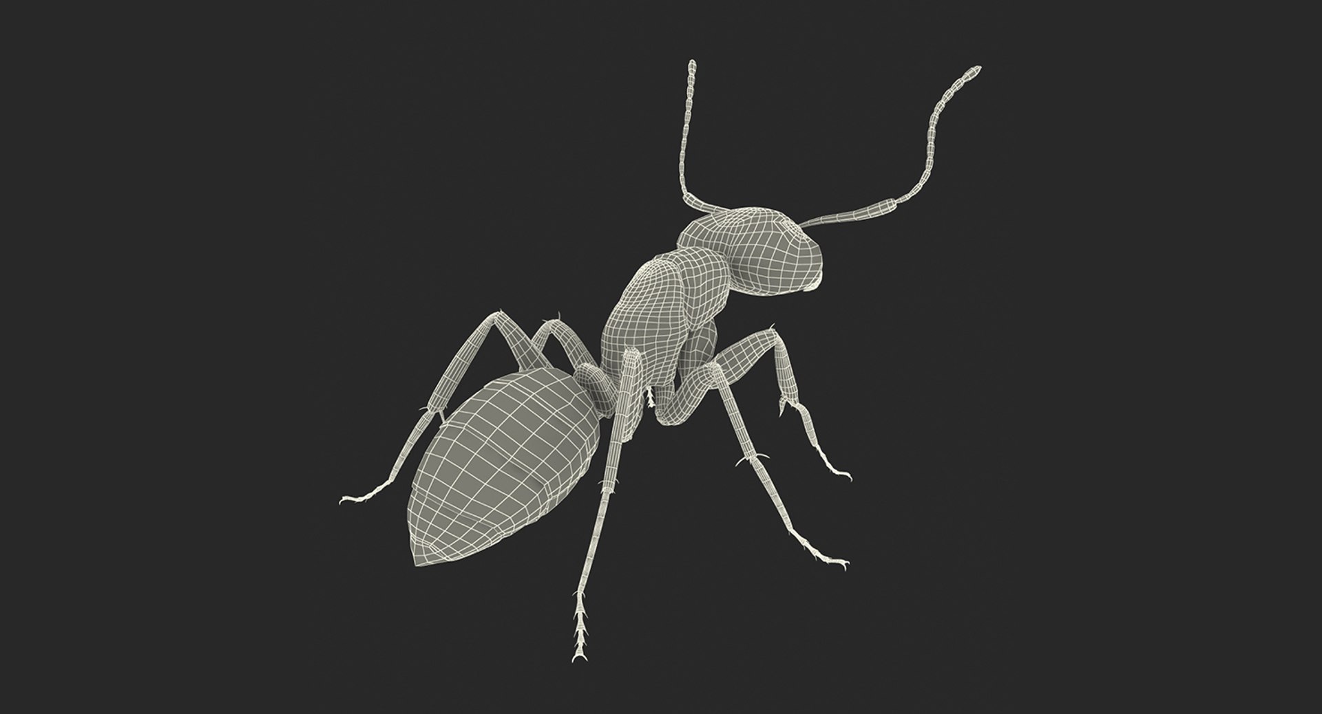 insects big 5 collections 3D model https://p.turbosquid.com/ts-thumb/a8/NZDPHi/MFcUCXbl/insectsbigcollection5vray3dmodel203/jpg/1595402592/1920x1080/fit_q87/4441f64955a92d3b77d9f5637555b84fef510f23/insectsbigcollection5vray3dmodel203.jpg