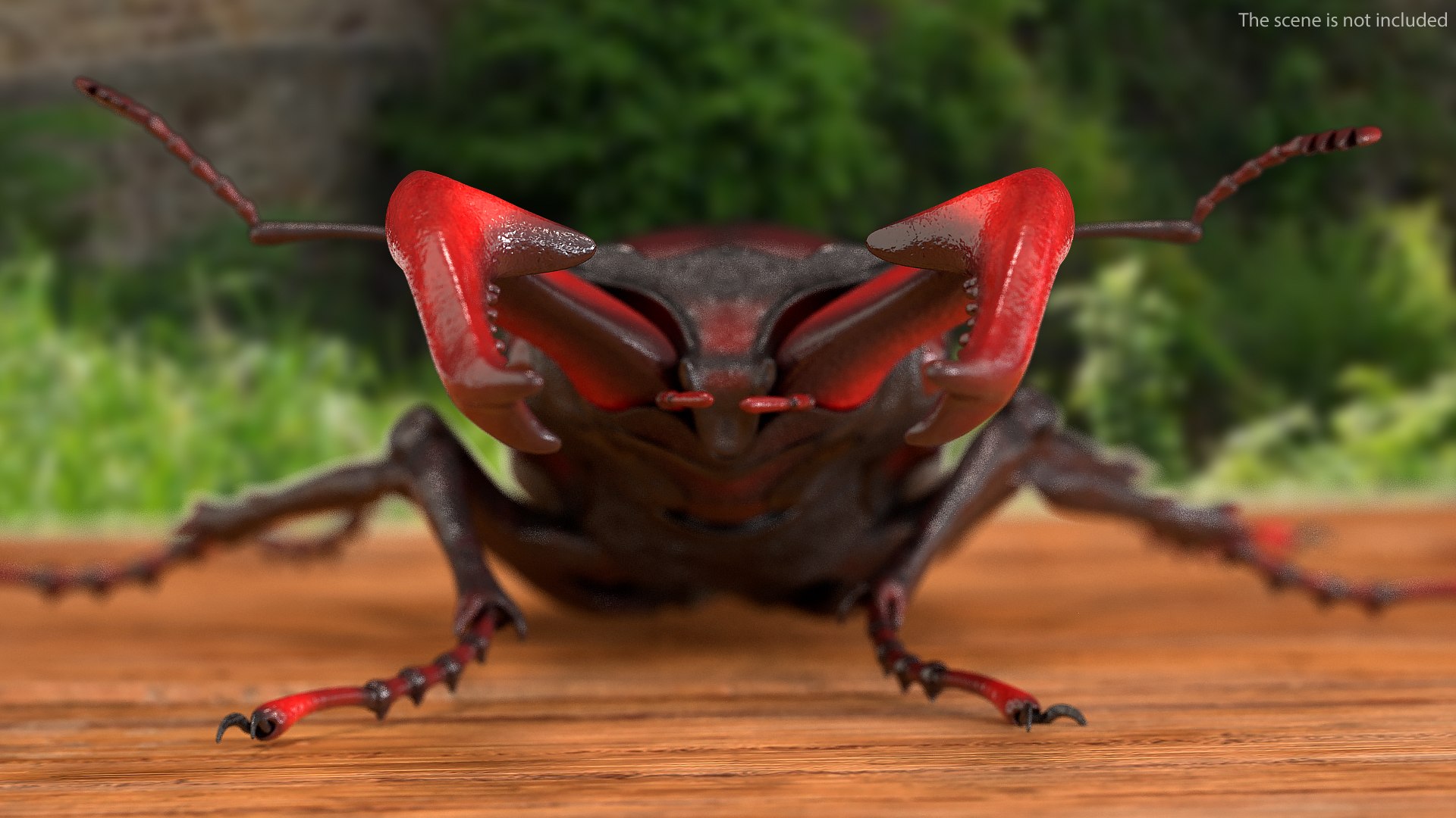 insects big 5 collections 3D model https://p.turbosquid.com/ts-thumb/a8/NZDPHi/OxMpNu8p/insectsbigcollection5vray3dmodel016/jpg/1595402148/1920x1080/fit_q87/b141e0d581289055d84265f044f2eccb4791e254/insectsbigcollection5vray3dmodel016.jpg
