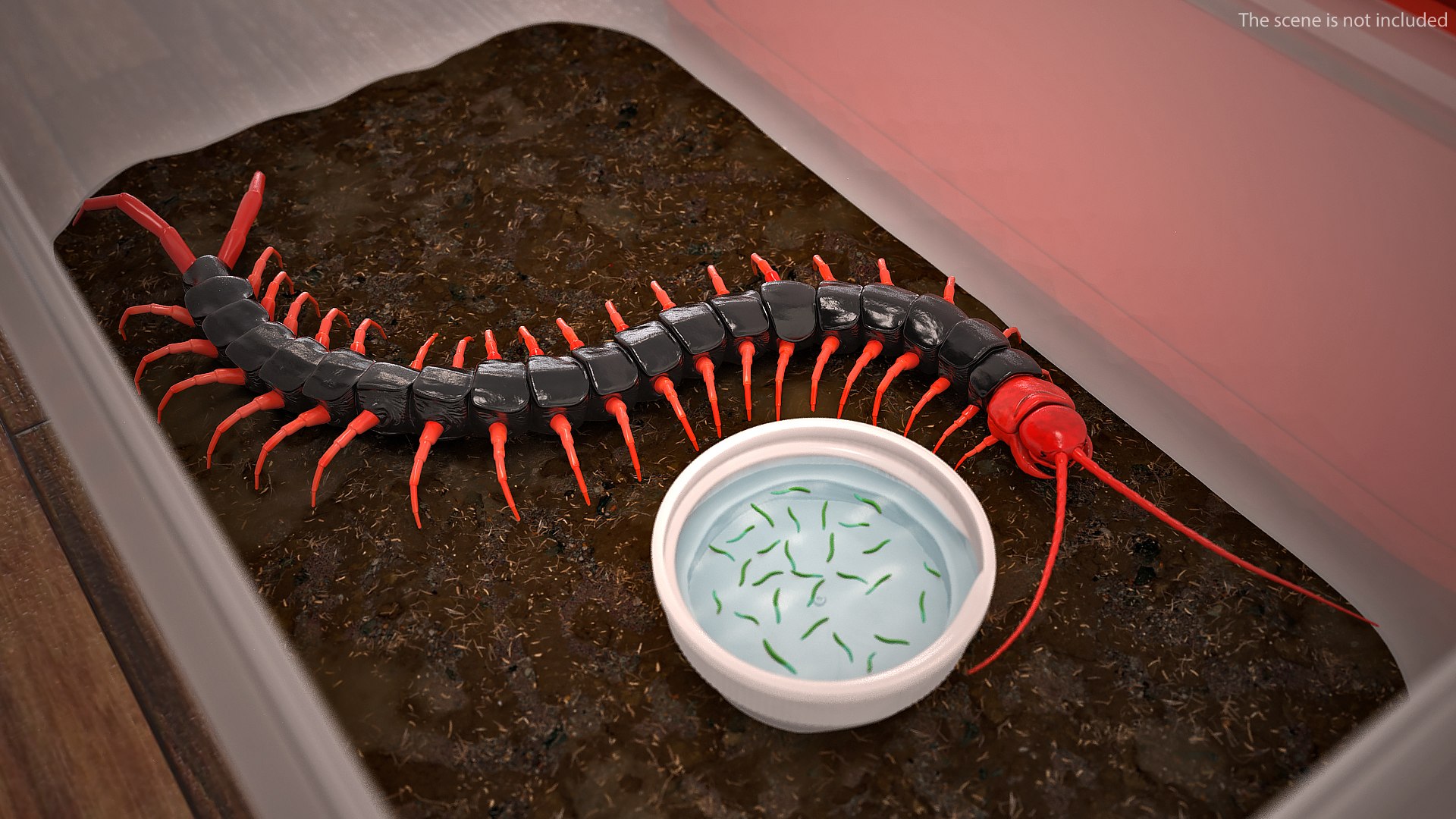insects big 5 collections 3D model https://p.turbosquid.com/ts-thumb/a8/NZDPHi/P1qHFJFF/insectsbigcollection5vray3dmodel004/jpg/1595402120/1920x1080/fit_q87/9293a06032c2aa435ab0ba60614c7bf217051754/insectsbigcollection5vray3dmodel004.jpg