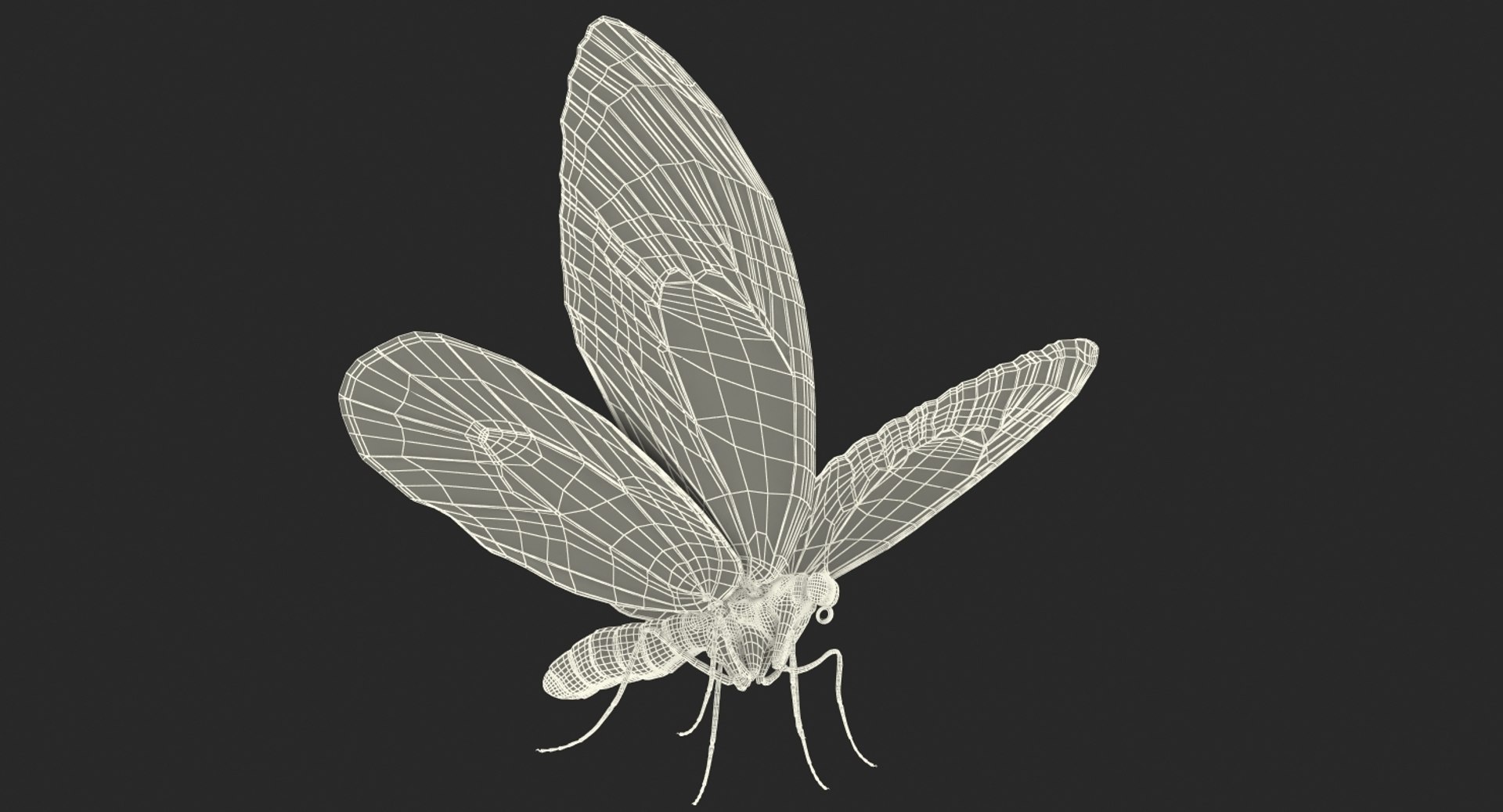 insects big 5 collections 3D model https://p.turbosquid.com/ts-thumb/a8/NZDPHi/Pcysi6FH/insectsbigcollection5vray3dmodel189/jpg/1595402559/1920x1080/fit_q87/67a9b0c63ebefe13c66d10b6d07b453dac1aba7a/insectsbigcollection5vray3dmodel189.jpg