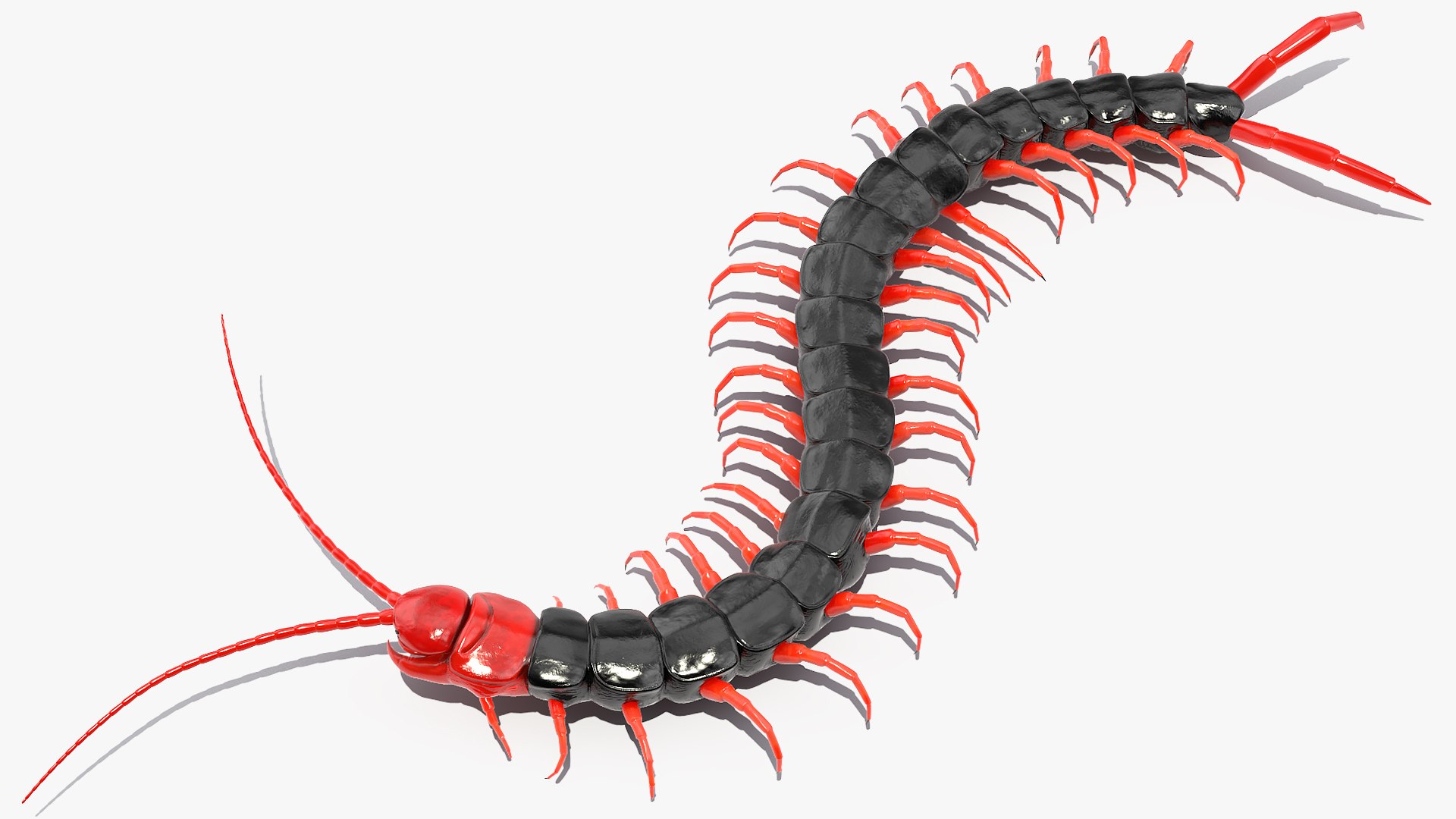 insects big 5 collections 3D model https://p.turbosquid.com/ts-thumb/a8/NZDPHi/Pni9Tg70/insectsbigcollection5vray3dmodel002/jpg/1595402115/1920x1080/fit_q87/6e704a8b8ec5f305e9ae834e860dc410209dc199/insectsbigcollection5vray3dmodel002.jpg