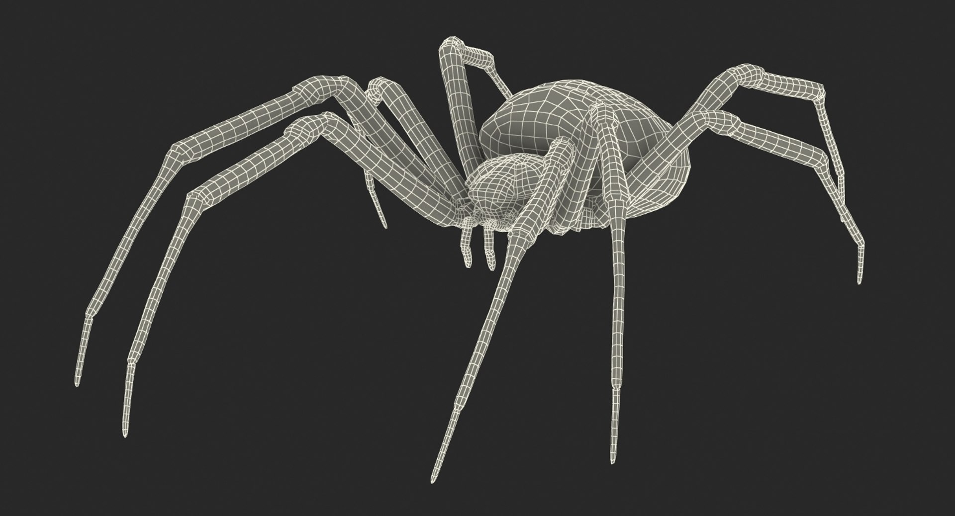 insects big 5 collections 3D model https://p.turbosquid.com/ts-thumb/a8/NZDPHi/RHXJTDDQ/insectsbigcollection5vray3dmodel185/jpg/1595402550/1920x1080/fit_q87/86f29353e461c8b0b32651d6f45f733961ad9072/insectsbigcollection5vray3dmodel185.jpg