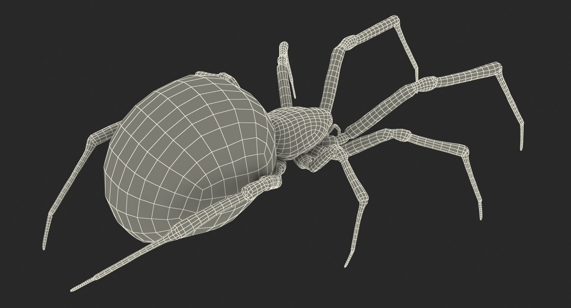 insects big 5 collections 3D model https://p.turbosquid.com/ts-thumb/a8/NZDPHi/V6S5p1Ue/insectsbigcollection5vray3dmodel191/jpg/1595402564/1920x1080/fit_q87/dbb2481805fadaa96a3b210ee07da859c3af6c5d/insectsbigcollection5vray3dmodel191.jpg