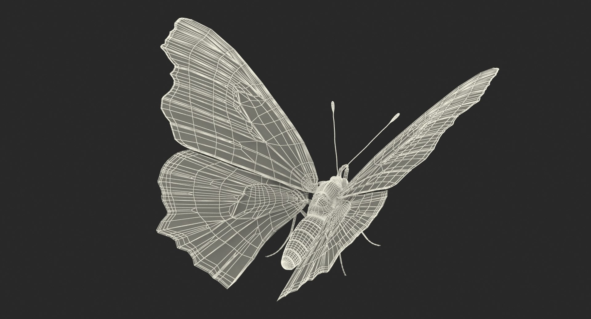 insects big 5 collections 3D model https://p.turbosquid.com/ts-thumb/a8/NZDPHi/cPZ6RLOo/insectsbigcollection5vray3dmodel186/jpg/1595402552/1920x1080/fit_q87/9236dbeaf65b8e31ac28b6c3ca1b36334eb98ade/insectsbigcollection5vray3dmodel186.jpg