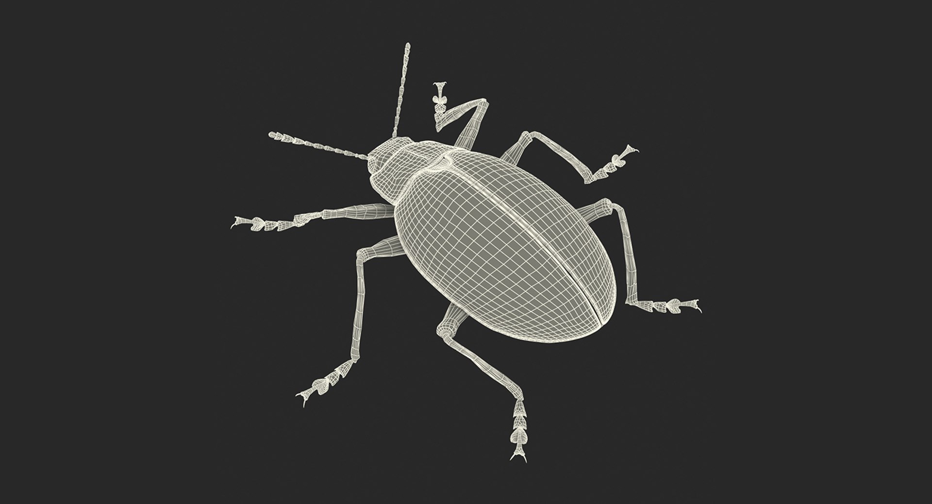 insects big 5 collections 3D model https://p.turbosquid.com/ts-thumb/a8/NZDPHi/ey8rm81v/insectsbigcollection5vray3dmodel204/jpg/1595402594/1920x1080/fit_q87/f9291b12affed5c7085683dfd34fad024a481170/insectsbigcollection5vray3dmodel204.jpg