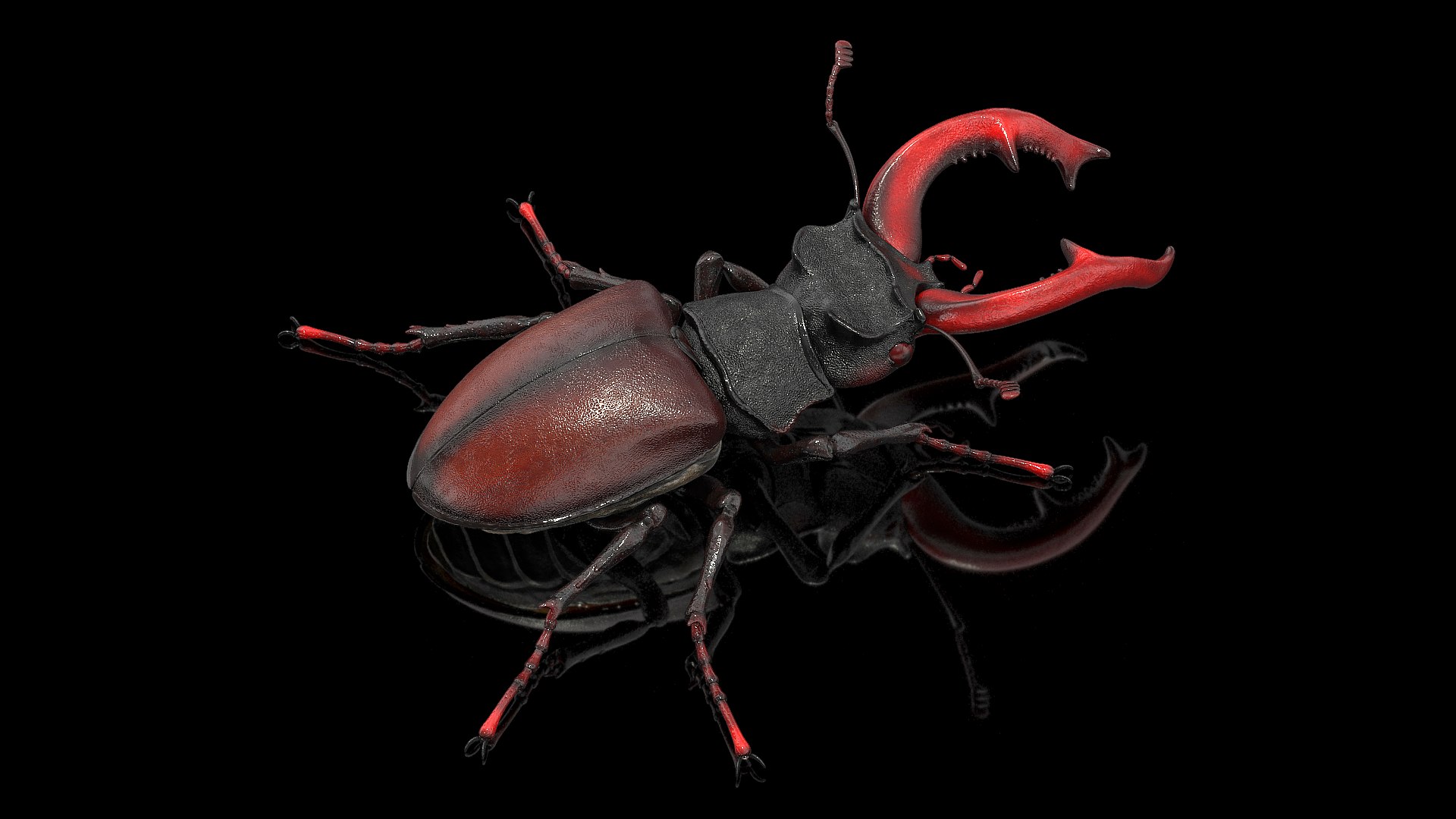insects big 5 collections 3D model https://p.turbosquid.com/ts-thumb/a8/NZDPHi/h8i0hF7R/insectsbigcollection5vray3dmodel017/jpg/1595402150/1920x1080/fit_q87/ca27c3ef48200f751649c200e437b24c5e03d744/insectsbigcollection5vray3dmodel017.jpg