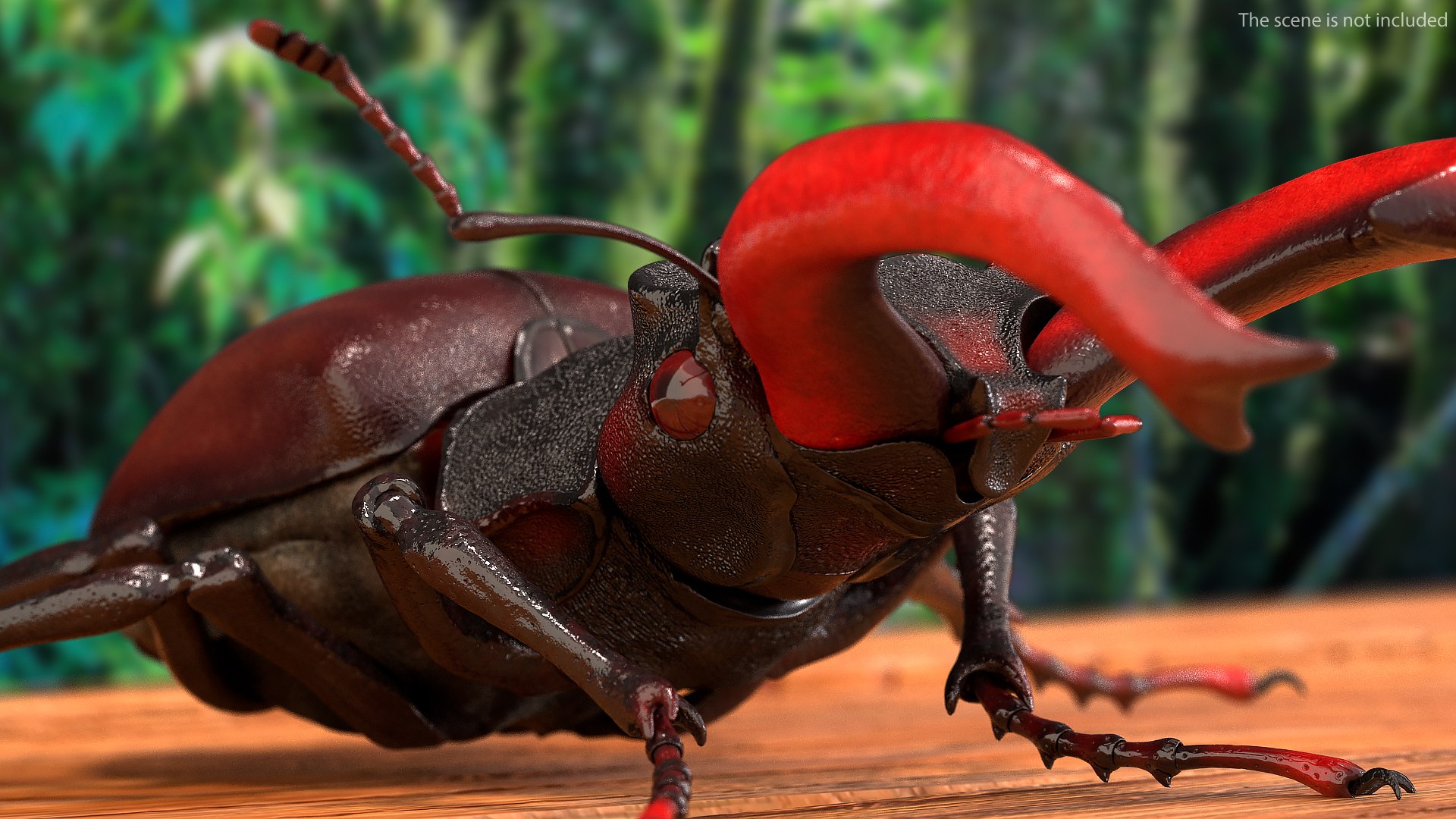 insects big 5 collections 3D model https://p.turbosquid.com/ts-thumb/a8/NZDPHi/jPnDi6NR/insectsbigcollection5vray3dmodel015/jpg/1595402146/1920x1080/fit_q87/472400d3f6d28fe27fa98e6957bda8820efa1c25/insectsbigcollection5vray3dmodel015.jpg