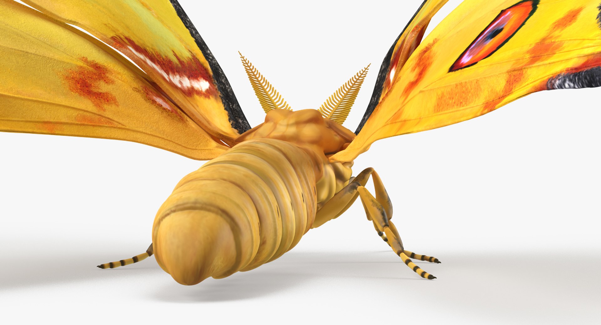 insects big 5 collections 3D model https://p.turbosquid.com/ts-thumb/a8/NZDPHi/m3XUZ7gZ/insectsbigcollection5vray3dmodel134/jpg/1595402430/1920x1080/fit_q87/6e83419ae6718f315f4415091a956ca2ca53b28c/insectsbigcollection5vray3dmodel134.jpg
