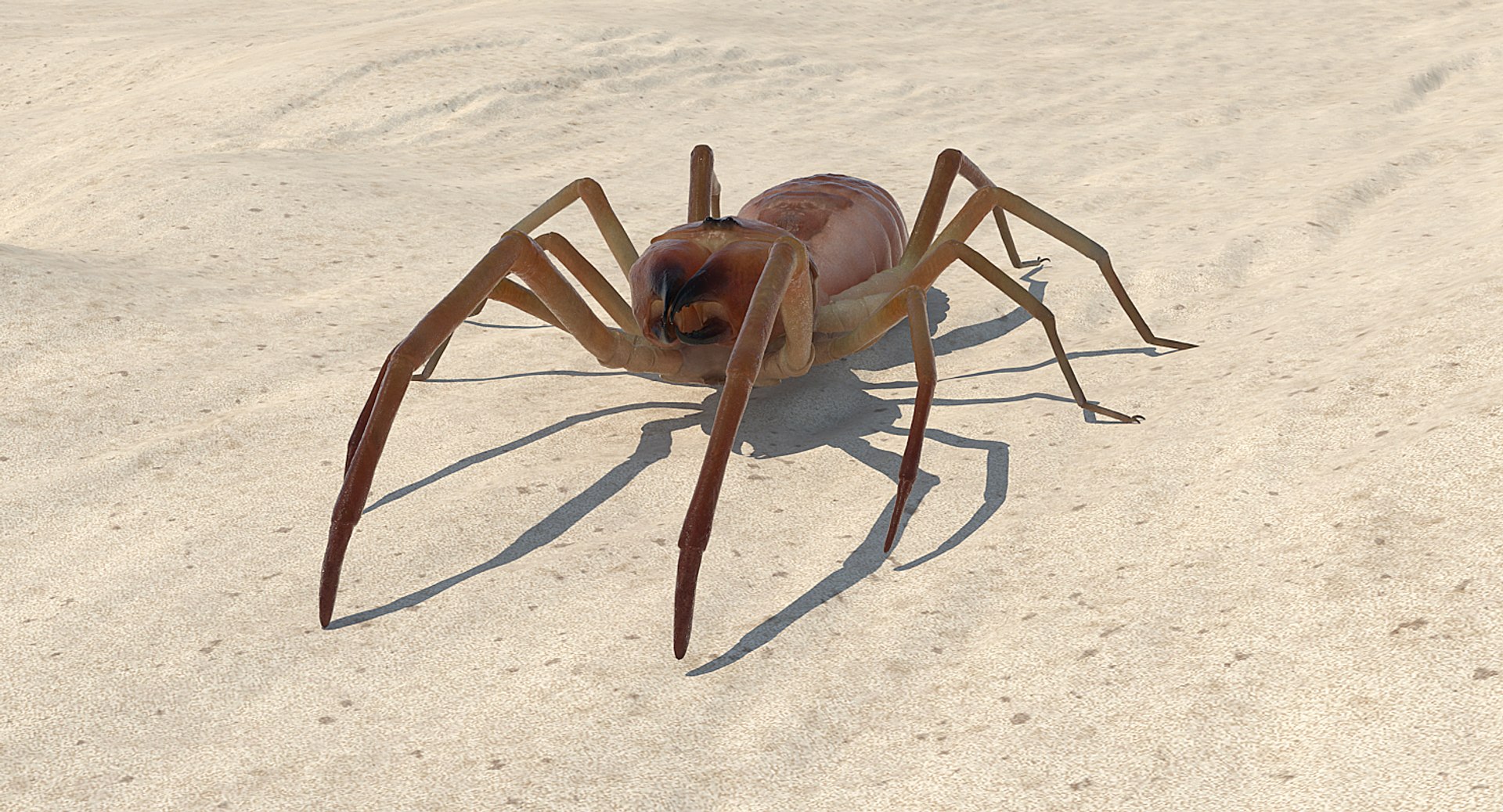insects big 5 collections 3D model https://p.turbosquid.com/ts-thumb/a8/NZDPHi/mNuo1PhX/insectsbigcollection5vray3dmodel064/jpg/1595402265/1920x1080/fit_q87/543c17576c7d0353bb554bc8e9d73491277c903f/insectsbigcollection5vray3dmodel064.jpg