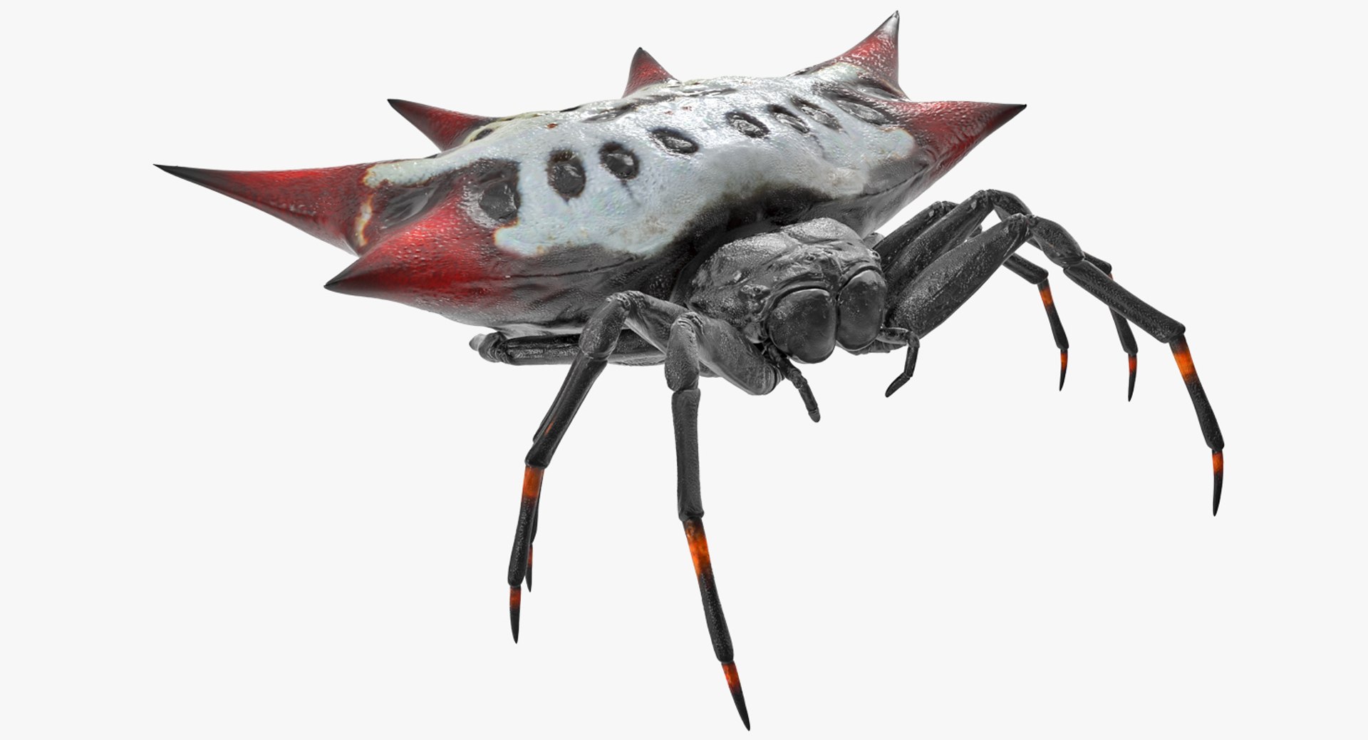 insects big 5 collections 3D model https://p.turbosquid.com/ts-thumb/a8/NZDPHi/nPzfEjG3/insectsbigcollection5vray3dmodel098/jpg/1595402347/1920x1080/fit_q87/97dc4827cf7aee639a6d2f5d7181698769e014cb/insectsbigcollection5vray3dmodel098.jpg