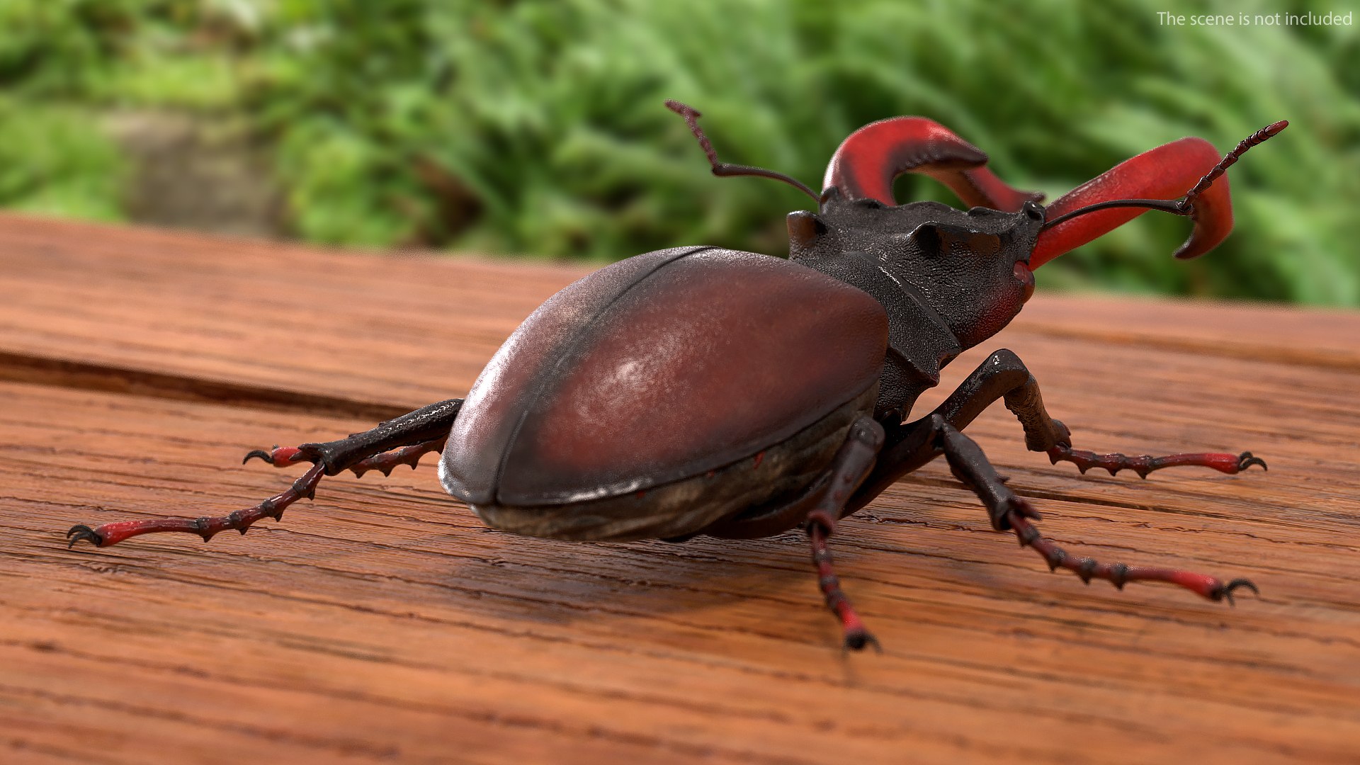 insects big 5 collections 3D model https://p.turbosquid.com/ts-thumb/a8/NZDPHi/p7laqEaB/insectsbigcollection5vray3dmodel013/jpg/1595402141/1920x1080/fit_q87/c1f260d5d19c50b8051832e73784d840d9a56d25/insectsbigcollection5vray3dmodel013.jpg