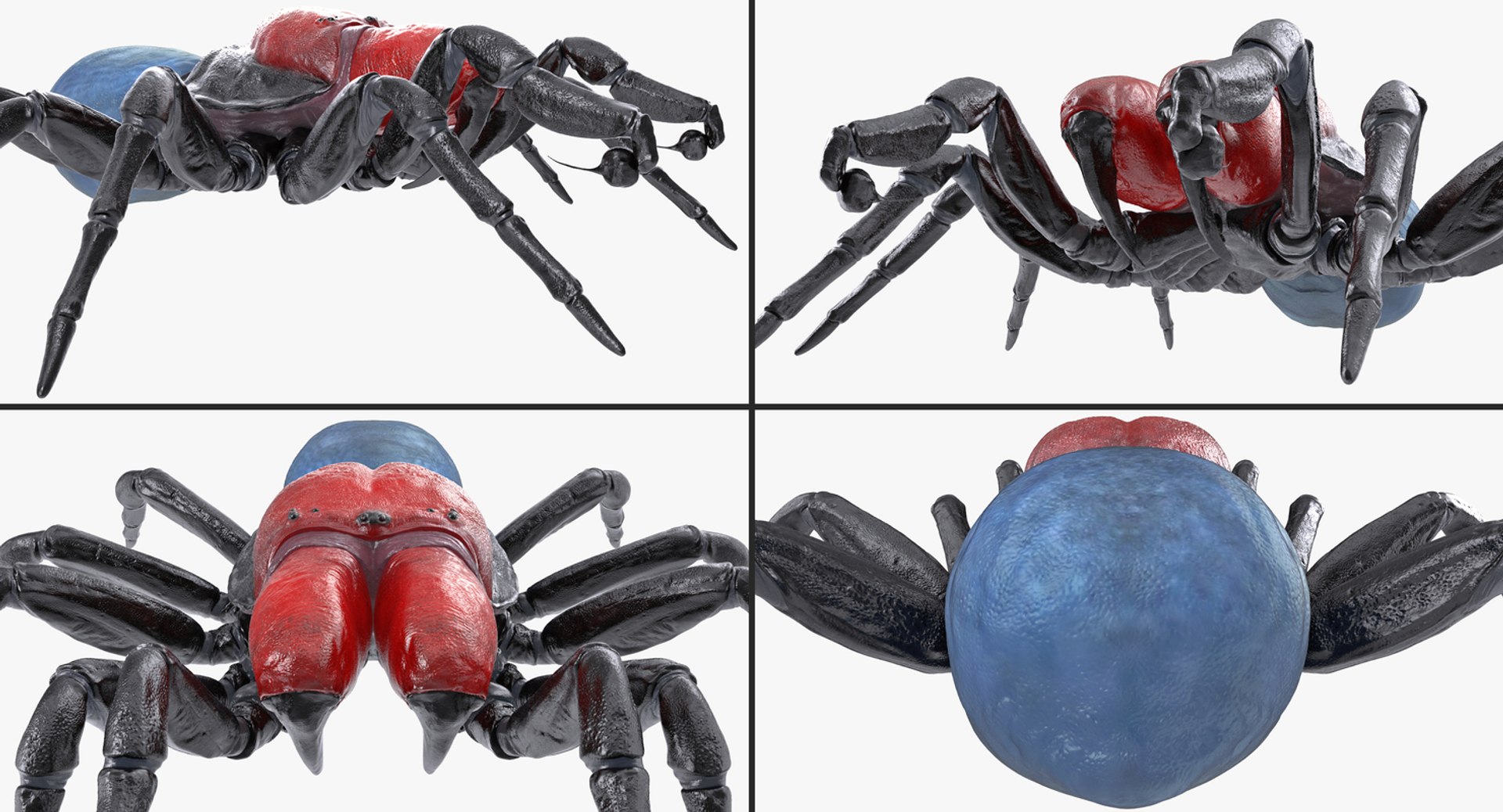 insects big 5 collections 3D model https://p.turbosquid.com/ts-thumb/a8/NZDPHi/pg1rXoOq/insectsbigcollection5vray3dmodel113/jpg/1595402381/1920x1080/fit_q87/95bf2a86313304b61614e6e7bdee1bee4463a7e6/insectsbigcollection5vray3dmodel113.jpg