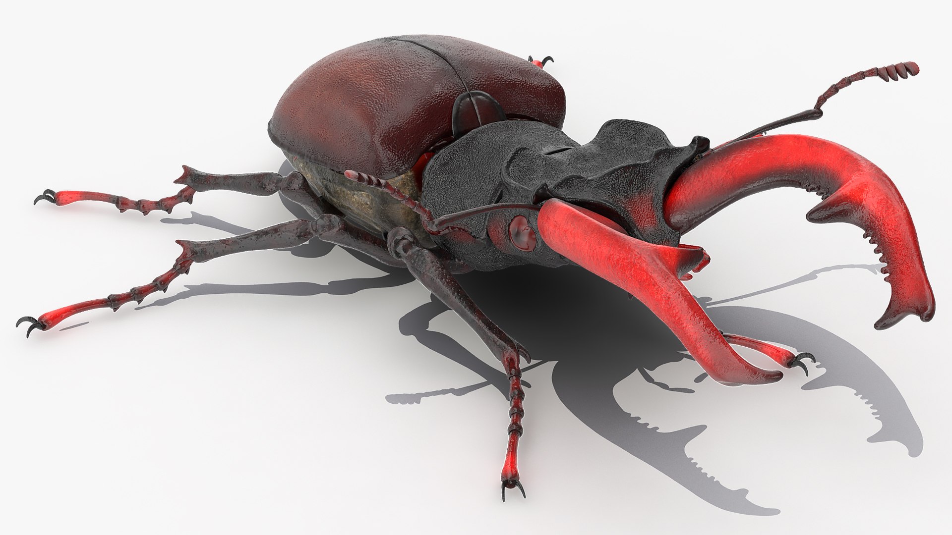 insects big 5 collections 3D model https://p.turbosquid.com/ts-thumb/a8/NZDPHi/sP9PJkP2/insectsbigcollection5vray3dmodel020/jpg/1595402157/1920x1080/fit_q87/6b81c02018be5a1b91c14da44cfce3de7bfbbdea/insectsbigcollection5vray3dmodel020.jpg