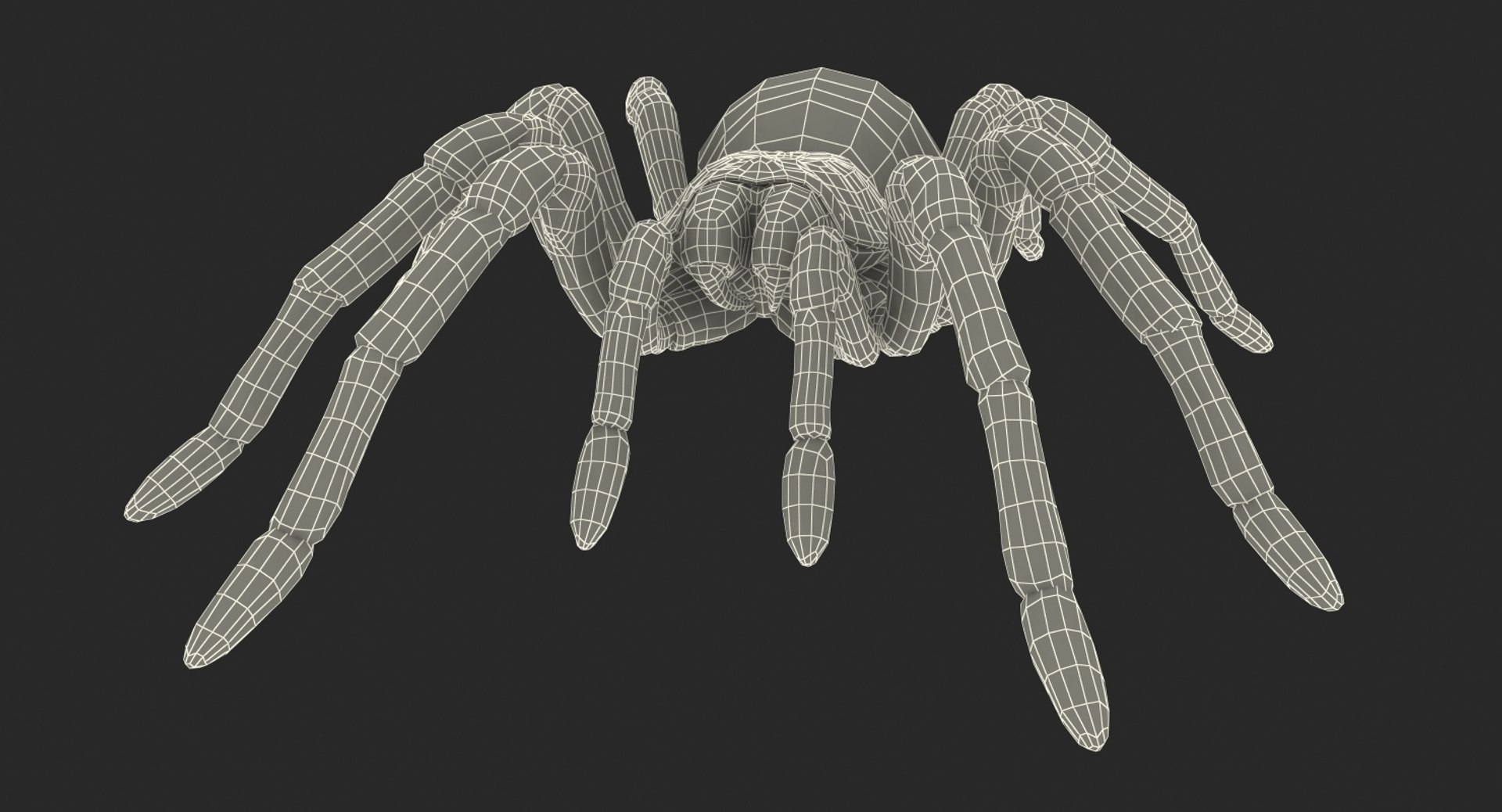 insects big 5 collections 3D model https://p.turbosquid.com/ts-thumb/a8/NZDPHi/tABTtkqu/insectsbigcollection5vray3dmodel178/jpg/1595402534/1920x1080/fit_q87/f7f373d6447358f0656062009d7958b6bdc02f5c/insectsbigcollection5vray3dmodel178.jpg