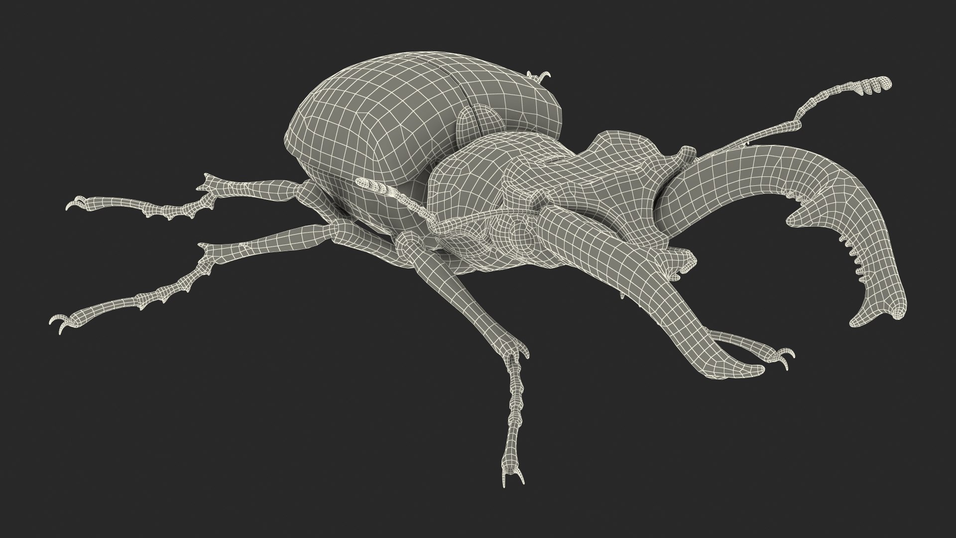 insects big 5 collections 3D model https://p.turbosquid.com/ts-thumb/a8/NZDPHi/w40Wi86z/insectsbigcollection5vray3dmodel175/jpg/1595402527/1920x1080/fit_q87/738883f489631dec68e219badff3f6952c077d3a/insectsbigcollection5vray3dmodel175.jpg