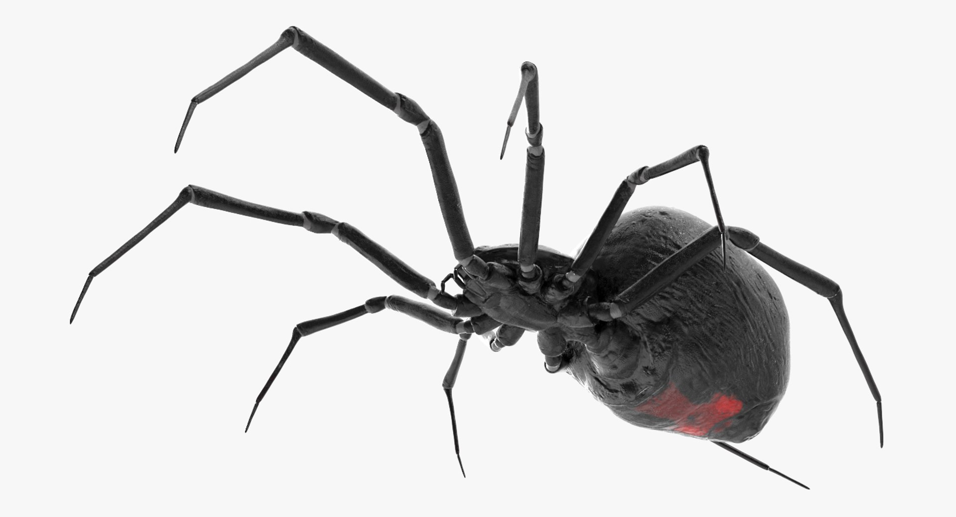 insects big 5 collections 3D model https://p.turbosquid.com/ts-thumb/a8/NZDPHi/wAQCLtlE/insectsbigcollection5vray3dmodel117/jpg/1595402391/1920x1080/fit_q87/5c4d8c05165d17acfbff24109629bcdca0dcc38a/insectsbigcollection5vray3dmodel117.jpg