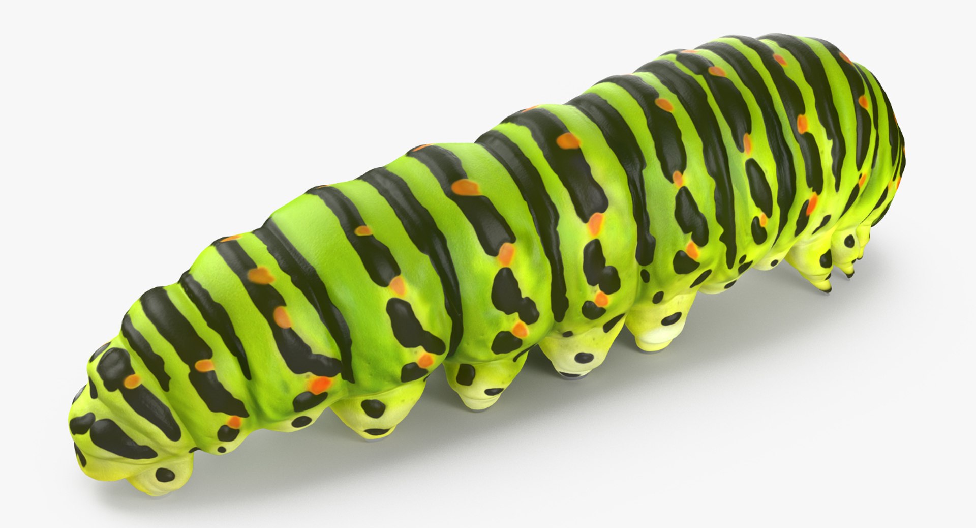 insects big 5 collections 3D model https://p.turbosquid.com/ts-thumb/a8/NZDPHi/zcRMlkP4/insectsbigcollection5vray3dmodel146/jpg/1595402459/1920x1080/fit_q87/13607deb497b908a1bb96e7d2463571fc4efb506/insectsbigcollection5vray3dmodel146.jpg