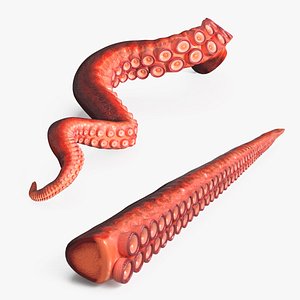 Natural Octopus Tentacle Marine Orange Rigged