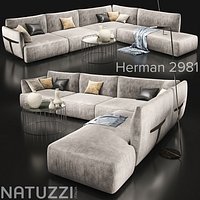 Sofa_natuzzi_herman 2981