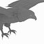 3D eagle bald model