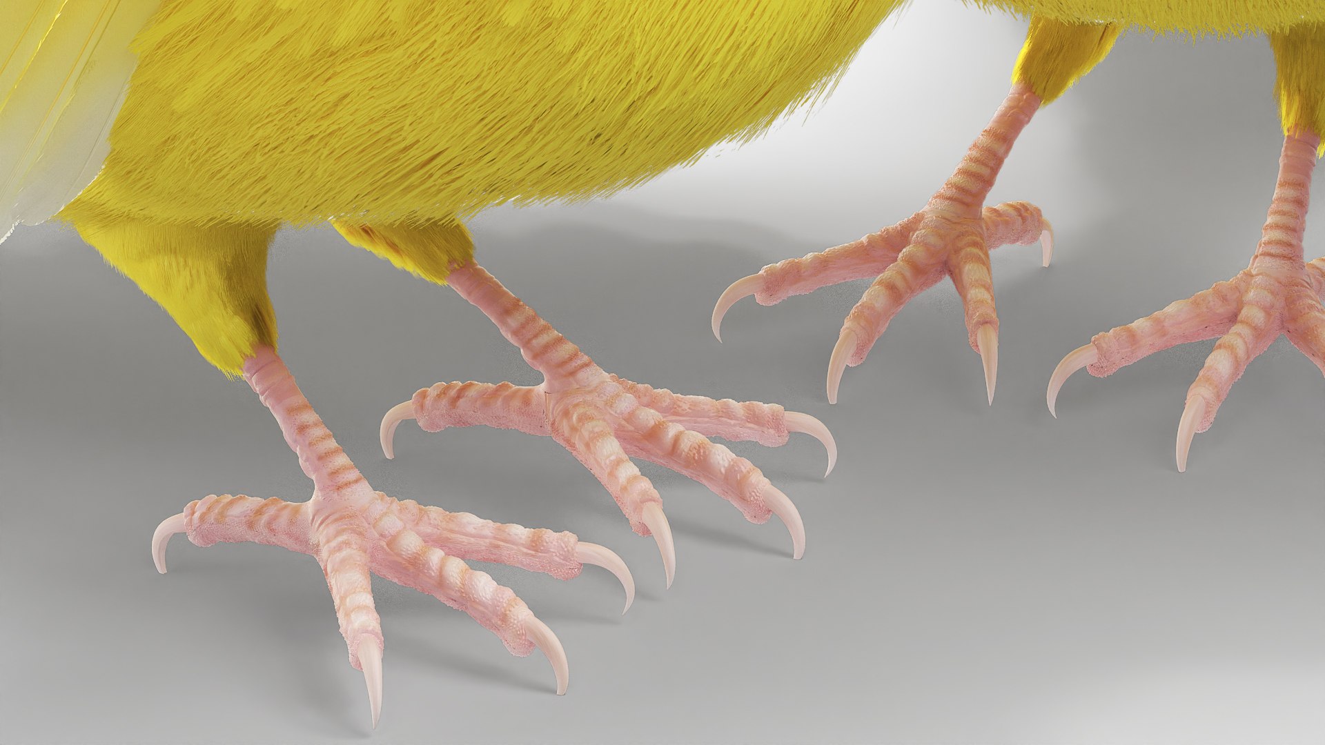 Canary Bird model https://p.turbosquid.com/ts-thumb/a8/vrs23p/CN/canary_bird_007/jpg/1774945962/1920x1080/fit_q87/d56bbf01eed6f4f3aa0658b14cc8220a70580f24/canary_bird_007.jpg