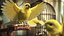 Canary Bird