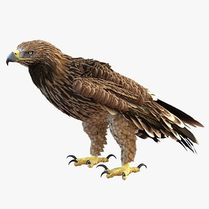 3d imperial eagle pose 5 model