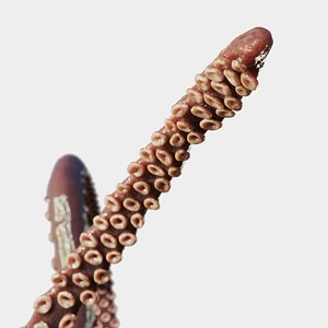 3D model Tentacle low poly