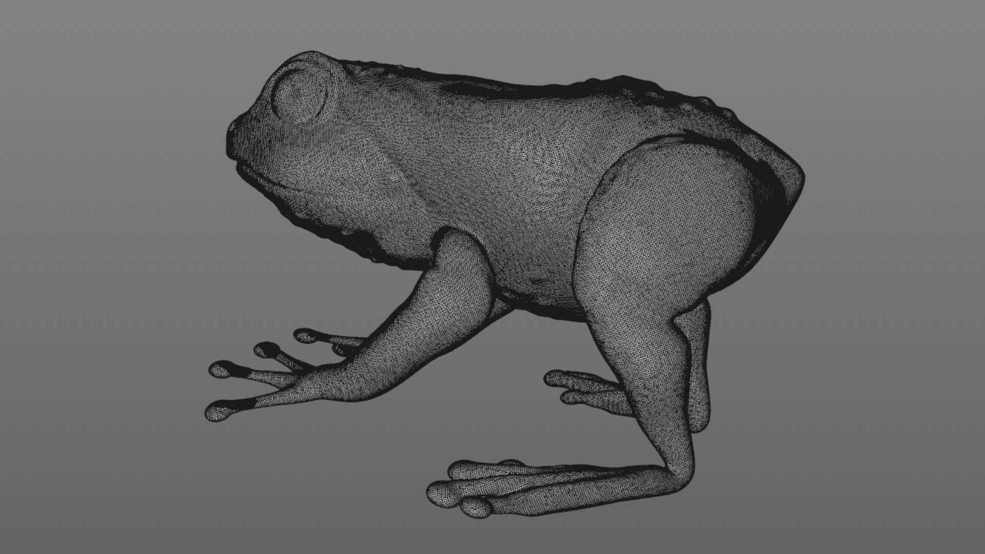 Frog 3D Model - TurboSquid 1949344