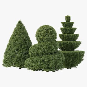 3D 3 Shaped Yew Bush 03