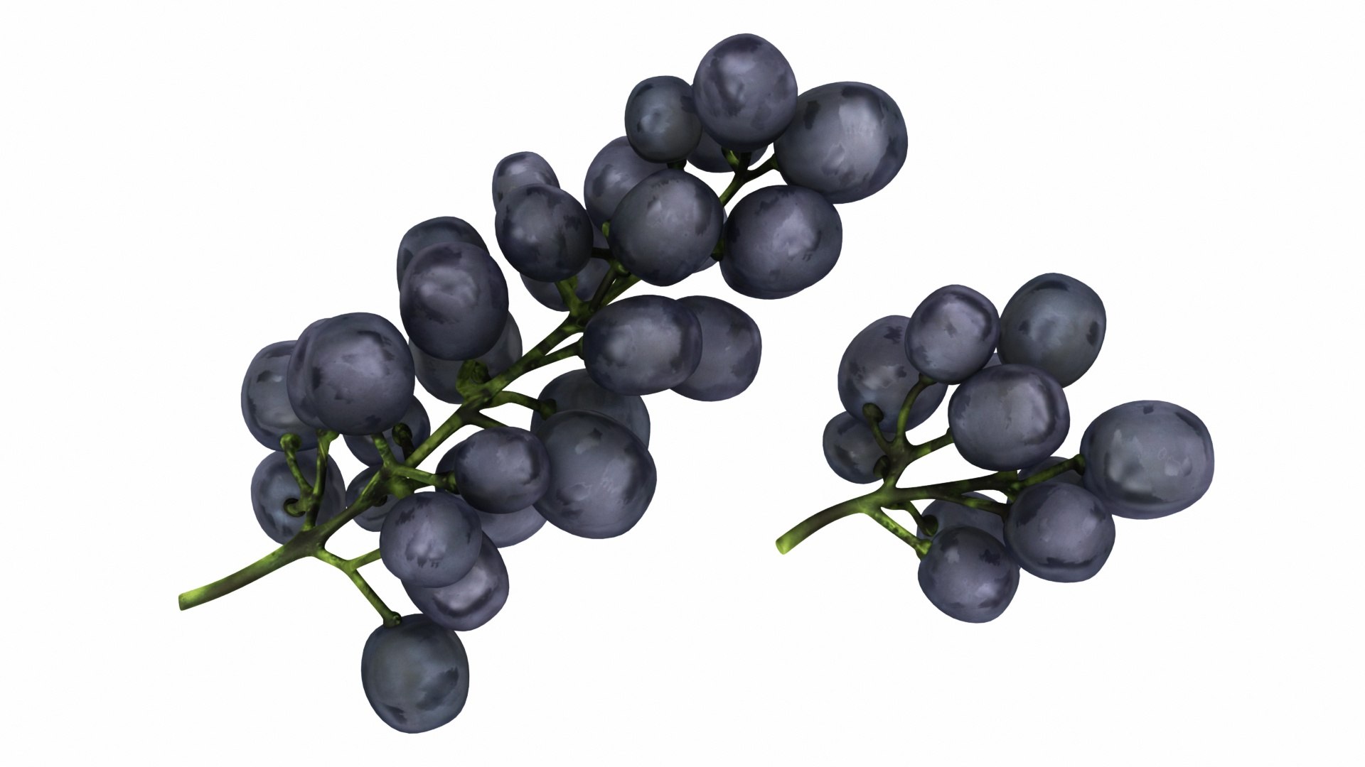 fruit 11 1 3D model https://p.turbosquid.com/ts-thumb/a9/M90wPl/B0IiOEvS/blackgrapes2/jpg/1588356964/1920x1080/fit_q87/d6443d89ca2fe7b1b44aeec591b596c5e8612c28/blackgrapes2.jpg
