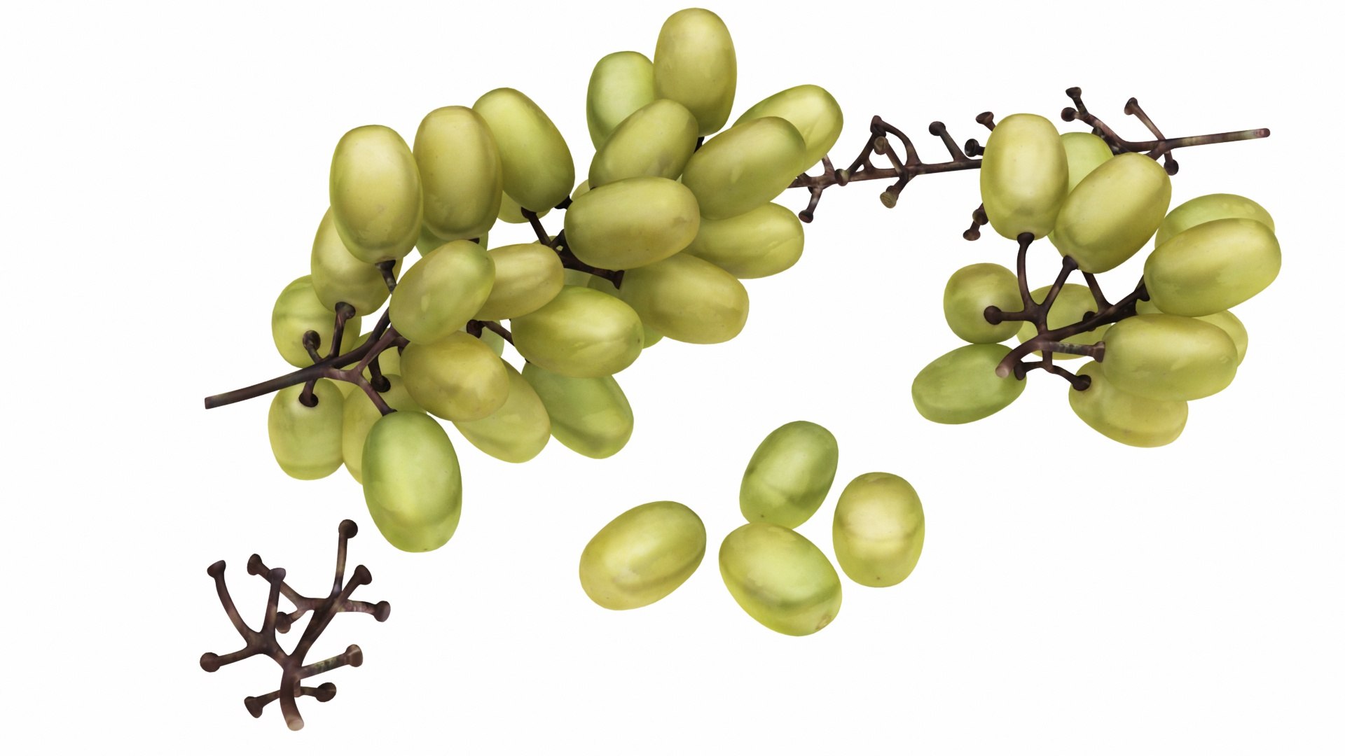 fruit 11 1 3D model https://p.turbosquid.com/ts-thumb/a9/M90wPl/HJenbprM/greeprapes5/jpg/1588356979/1920x1080/fit_q87/ab91ffe343c8d0ed71c4ab9271b1e9ac434b8f12/greeprapes5.jpg