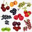 Colección de frutas 11 en 1