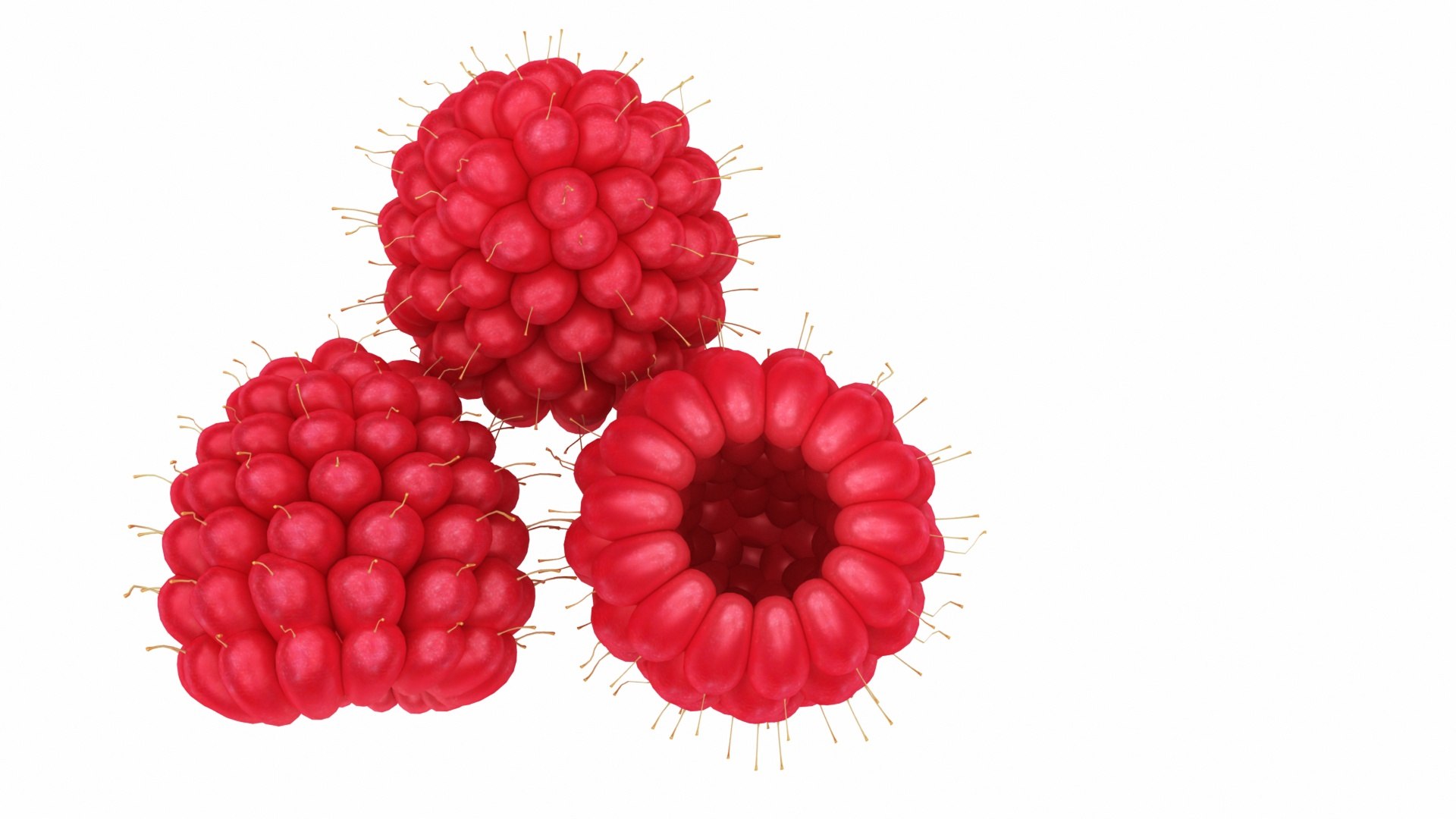fruit 11 1 3D model https://p.turbosquid.com/ts-thumb/a9/M90wPl/QRBUUqqm/0raspberry6/jpg/1588356946/1920x1080/fit_q87/c7a69b608ebacf0fbe24ff79adacc883d59aece4/0raspberry6.jpg