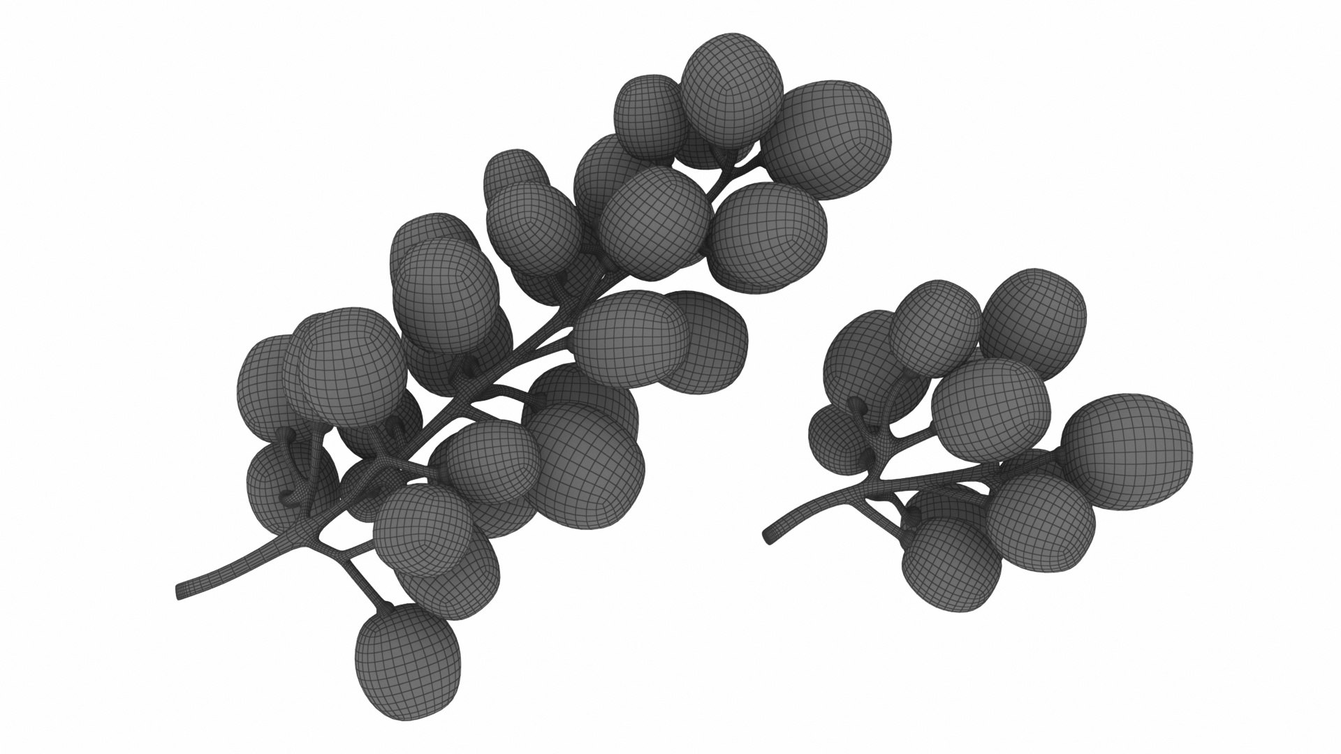 fruit 11 1 3D model https://p.turbosquid.com/ts-thumb/a9/M90wPl/Y0ZKMlS7/blackgrapes12/jpg/1588356964/1920x1080/fit_q87/0896b6ab657b2a7881a9f06e2cf8deb3f8e36a60/blackgrapes12.jpg
