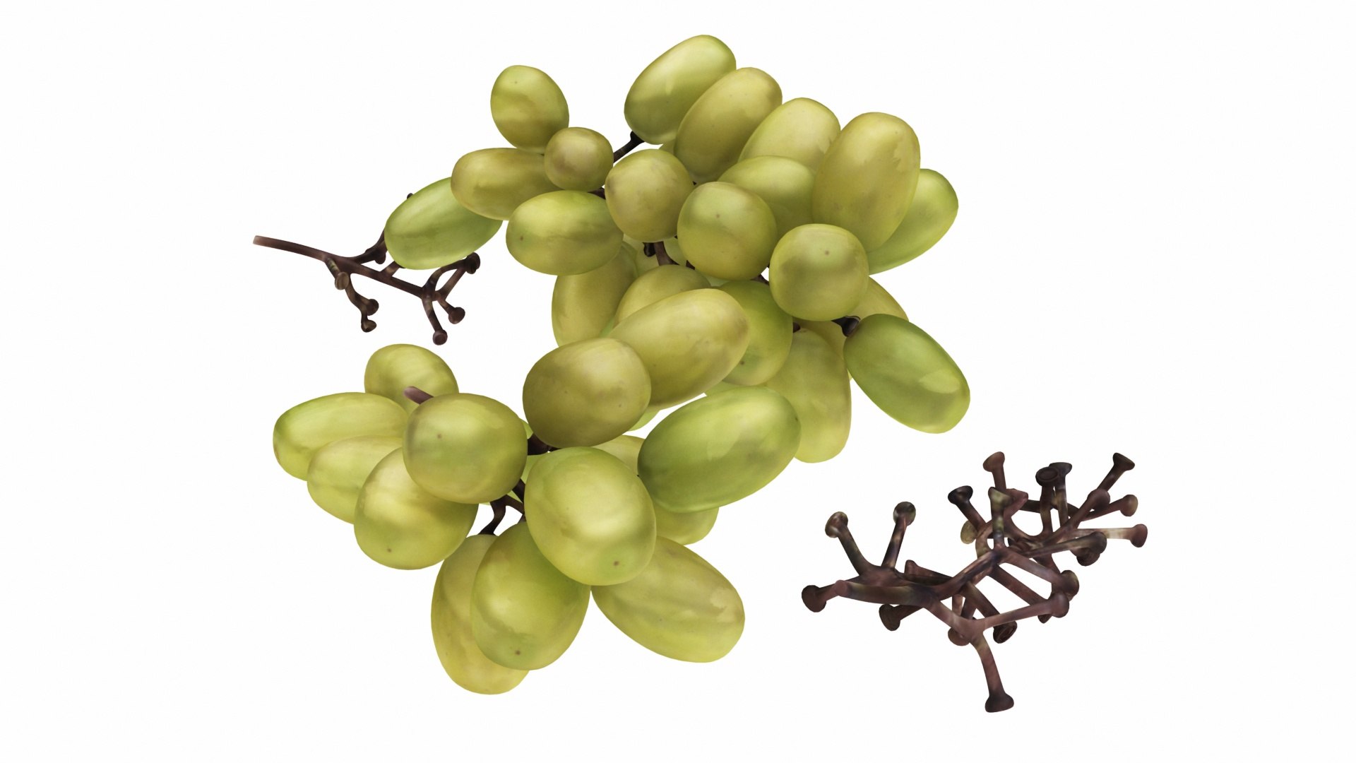 fruit 11 1 3D model https://p.turbosquid.com/ts-thumb/a9/M90wPl/n0EcaQyu/greeprapes2/jpg/1588356979/1920x1080/fit_q87/2d108d75c92c82d7a15dcdc07ea4b4f3a2a3cb37/greeprapes2.jpg
