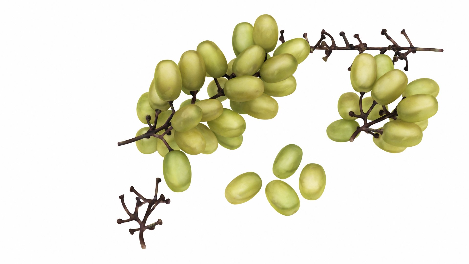 fruit 11 1 3D model https://p.turbosquid.com/ts-thumb/a9/M90wPl/sU66pXSW/greeprapes1/jpg/1588356979/1920x1080/fit_q87/eef17bc17c83002e4442161b643d07bb855a2898/greeprapes1.jpg