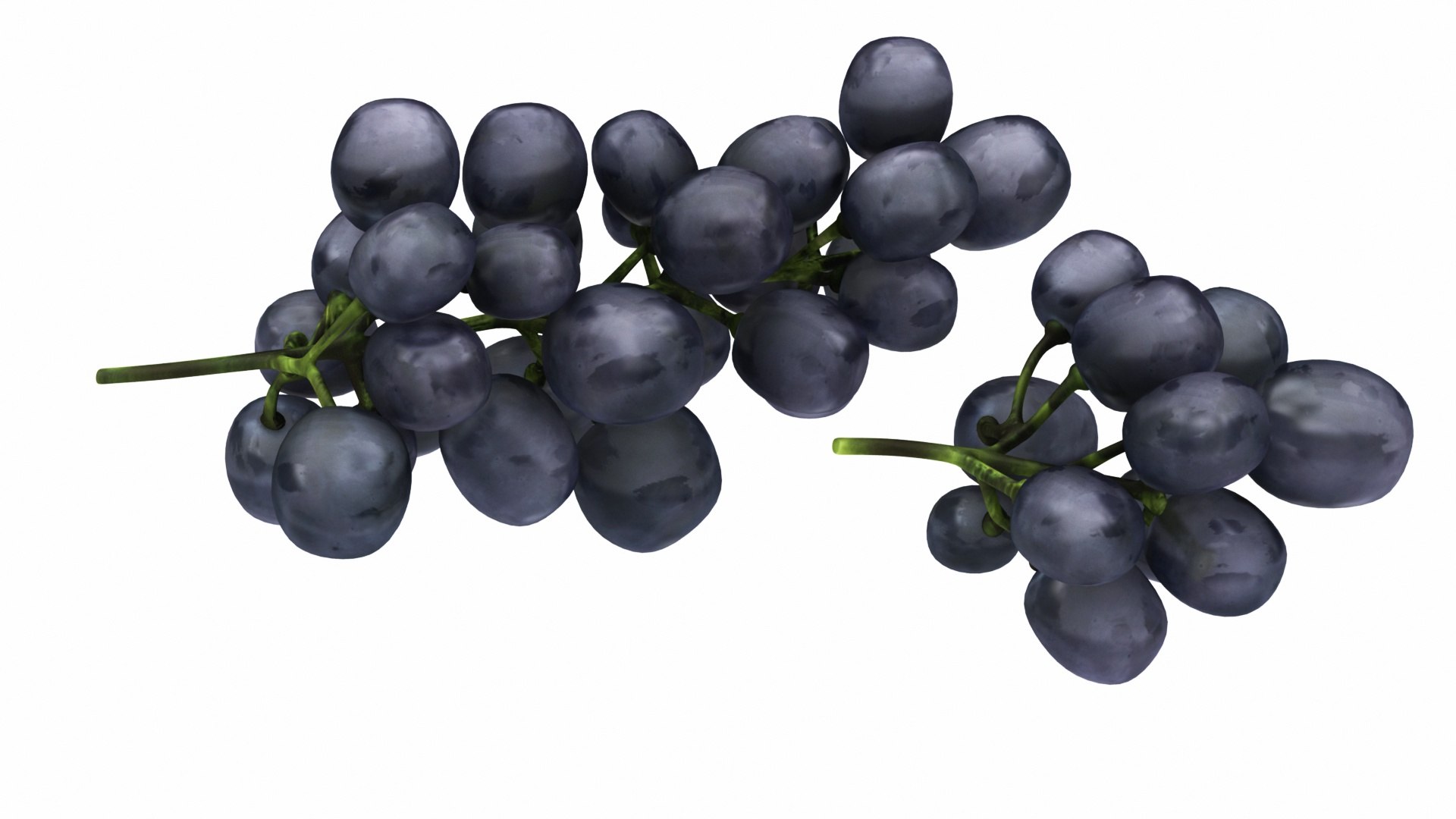 fruit 11 1 3D model https://p.turbosquid.com/ts-thumb/a9/M90wPl/vNQ8uBSc/blackgrapes4/jpg/1588356964/1920x1080/fit_q87/59e09873d3834856707aac66017152b261b64d11/blackgrapes4.jpg