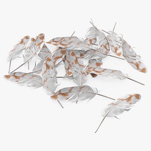 3D Pile of Spotted Bird Feathers White