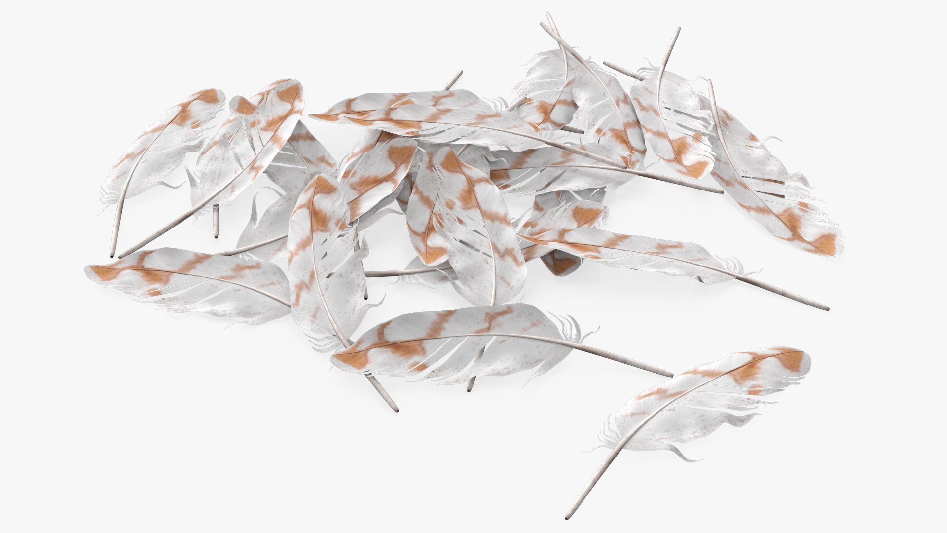 Pile of Spotted Bird Feathers White 3D model preview
