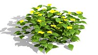 North American Wetland Collection