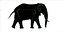 アフリカゾウ リグド L2355