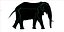 アフリカゾウ リグド L2355