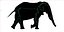 アフリカゾウ リグド L2355