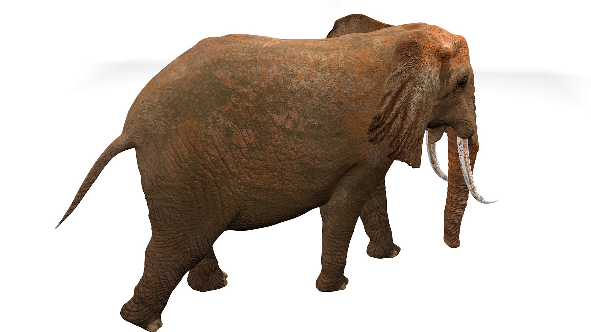 3D African Elephant RIGGED L2355 model https://p.turbosquid.com/ts-thumb/a9/igNdeb/eu/05_0003/png/1744068941/1920x1080/fit_q87/dc0fe82631653501fb189885e6c0eb7e5e48aadc/05_0003.jpg